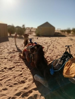 Desert camp Africa